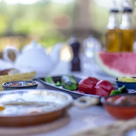 فندق Casa De Padre كمر