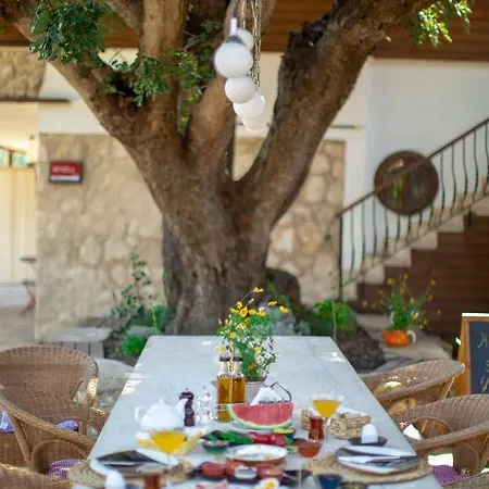 Casa De Padre מלון 2*