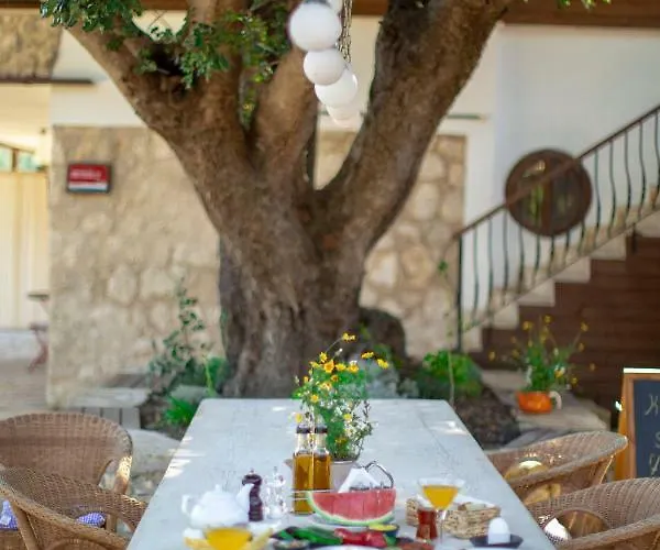 Casa De Padre Hotel 2*